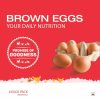 Brown Eggs Pack of 6, Fresh High Protein Brown Chicken Eggs